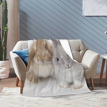 新品未使用　フランシュリッペ　うじゃうじゃうさぎ　毛布 フランシュリッペうじゃうじゃうさぎ毛布ブランケット